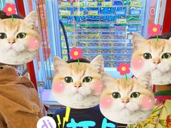 -汤姆熊欢乐世界(光启城店)