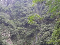 -宁波五龙潭景区