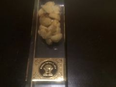 -巴厘岛黄金金兔咖啡工厂