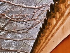 -普陀山风景区-佛顶山