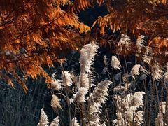 -南京市无想山景区