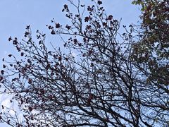 -秦岭风景区