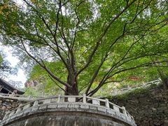 -藏山旅游风景区