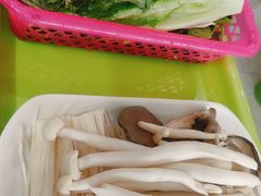 -15年老字号鑫鑫猪肚鸡·椰子鸡海南火锅(兴隆华侨农场店)