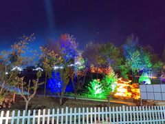 -莱阳濯村樱花园