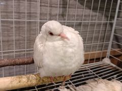 -谜·沉浸侦探剧本杀推理馆(静安店)