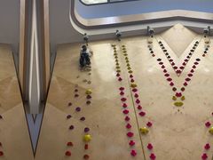 -ROCKPLUS攀岩馆(环宇城店)