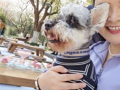 -阳澄湖费尔蒙酒店颐丰阁中餐厅(马鞍山西路店)