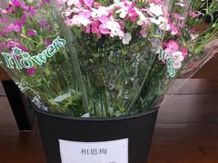 -荷兰花海