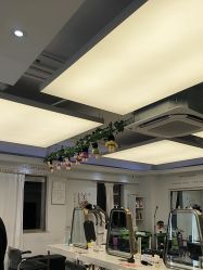 -镁连社·美联社
