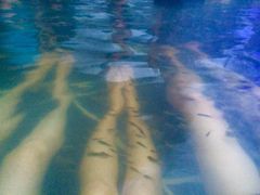 紫清湖生态旅游温泉度假区-南京汤山紫清湖生态旅游温泉度假区