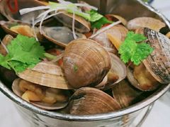 -渔娘渔家丹东海鲜(东直门店)