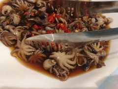 辣炒八爪鱼-蓝珊甄选海鲜自助·火锅大排档(近阿那亚店)