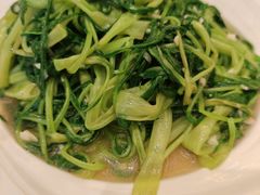 蒜蓉通菜-沙龙酒家