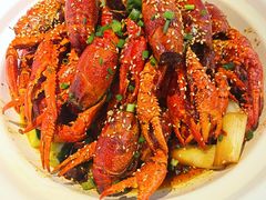 -肥肥虾庄·金牌油焖大虾(沙湖店)