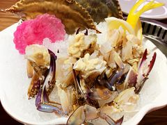 -尚海豆捞(乐虹坊店)