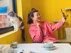 二饼-22cafe
