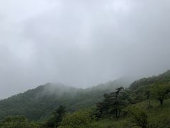 -终南山国家森林公园