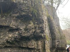 -山王坪喀斯特国家生态公园