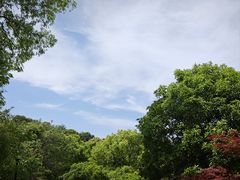 -白马涧龙池景区