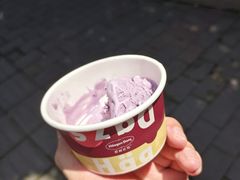 哈根达斯-芭菲盛宴·环球美食(袁家岗店)