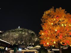 -荣家小吃(紫阳街店)