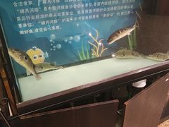 -肆月河豚·淮扬菜·湘菜(华天店)