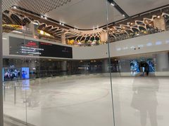 -TheRink大零溜冰场(IFS国金中心店)