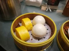 -湛江民大喜来登酒店-采悦轩中餐厅