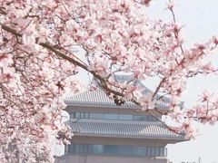 -南宁南湖公园
