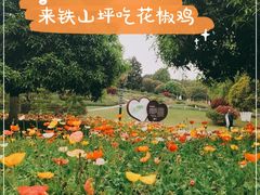 -铁山坪森林公园