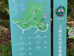 -上海佘山国家森林公园天马山园