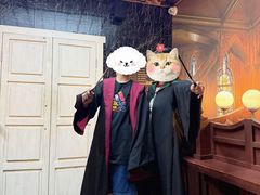 -逃脱反斗城沉浸剧情密室(阳光新业中心店)