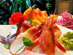 -森味薪火烧•烧鸟居酒屋•日本料理(望京店)