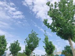 -刘家湾赶海园