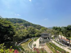 -天鹿湖森林公园