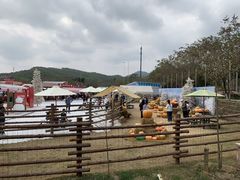 -盈香心动乐园
