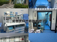 -Andrew指甲专科灰指甲·甲沟炎矫正·3D步态矫形鞋垫定制(上海法华镇路旗舰店)