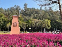 -顺峰山公园