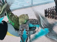 -珠海海泉湾神秘岛亲子乐园