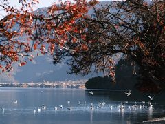 -丽江泸沽湖景区