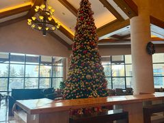 -长白山万达喜来登度假酒店