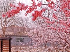 -三里河公园