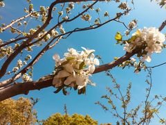 -昆山城市生态森林公园