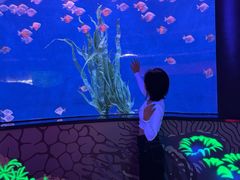 -沈阳海洋探索中心