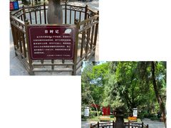 -房湖公园