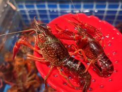 -海汕记·潮汕鲜牛肉火锅·自助