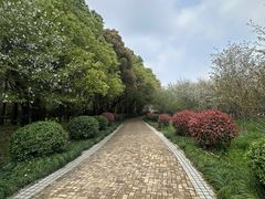 -同里国家湿地公园