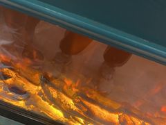 -东方豪客牛排意面披萨(玉函银座店)