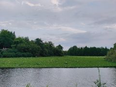 -白鹭湾湿地公园